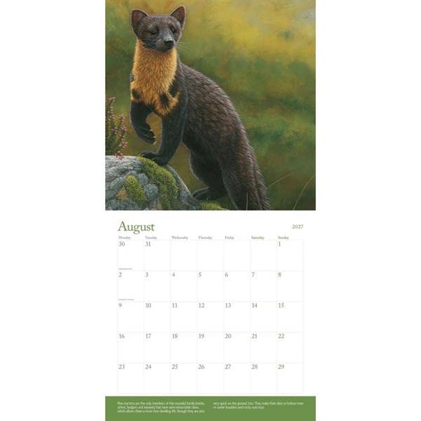 Robert Fuller, British Wildlife In Art Calendar 2027, Wall Calendars, Month To View, Animals, Gift