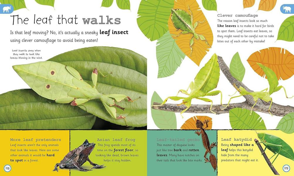 My Encyclopedia Of Very Important Animals - For Little Animal Lovers Who Want To Know Everything