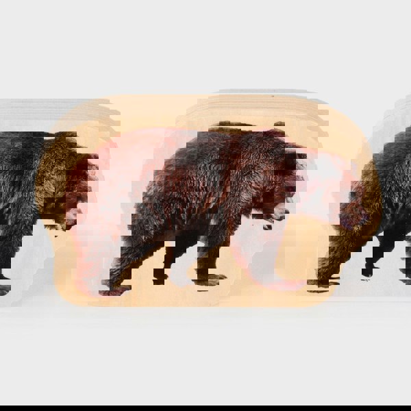 tickit Wooden Forest Animal Blocks