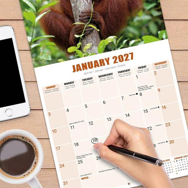 Apes Calendar 2027, Wall Calendars, Month To View, Animals, Gift