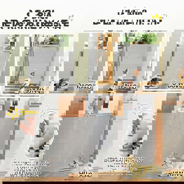D06-266V00GY