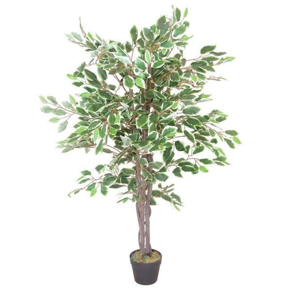 Leaf 130cm LARGE Realistic White Edge Ficus Artificial Plant Tree