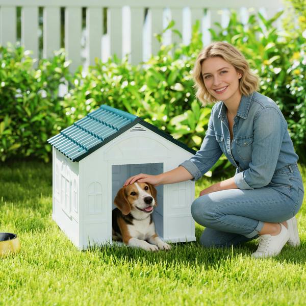 Dog Kennel House