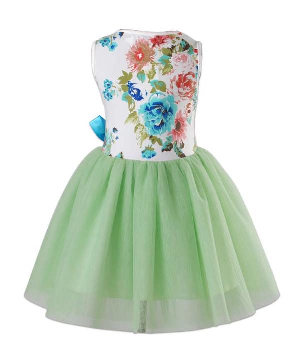 Cinda Coloured Floral Tutu Dress
