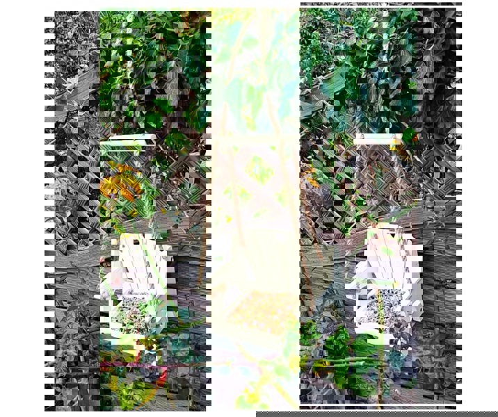 smartbies White Bird Swing Seat Feeder