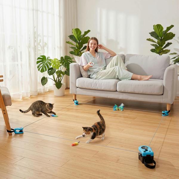 Cat Toys