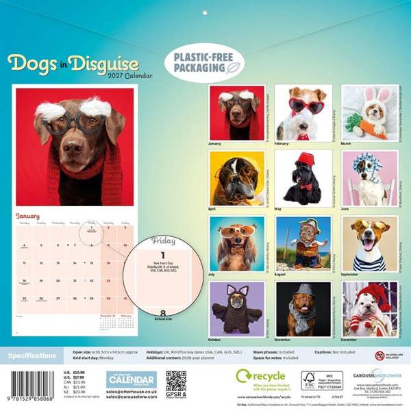 Dogs in Disguise Calendar 2027, Wall Calendars, Month To View, Humour, Gift