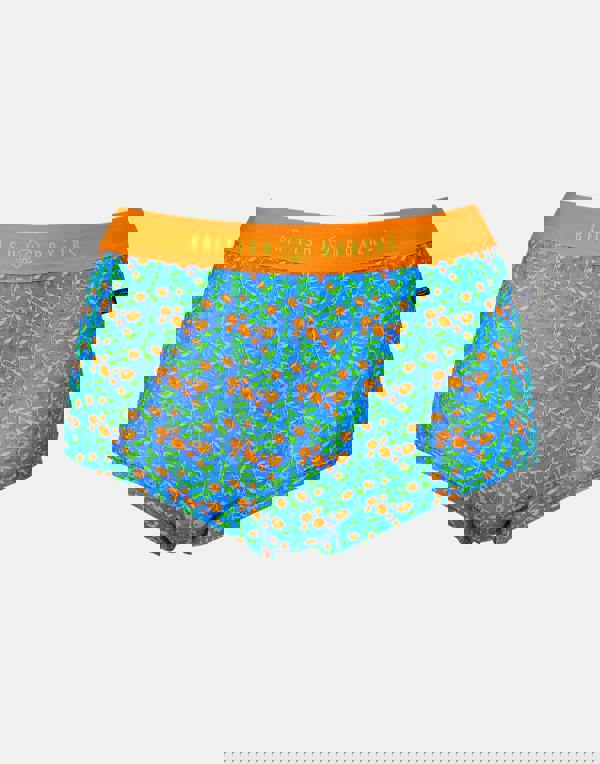 British Boxers Multipack 4 Pairs of Women's Bamboo Hipster Boxer Briefs – Boom Bloom!