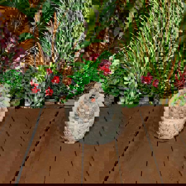 Adorable Stone Cast Bathing Hedgehog Garden Ornament