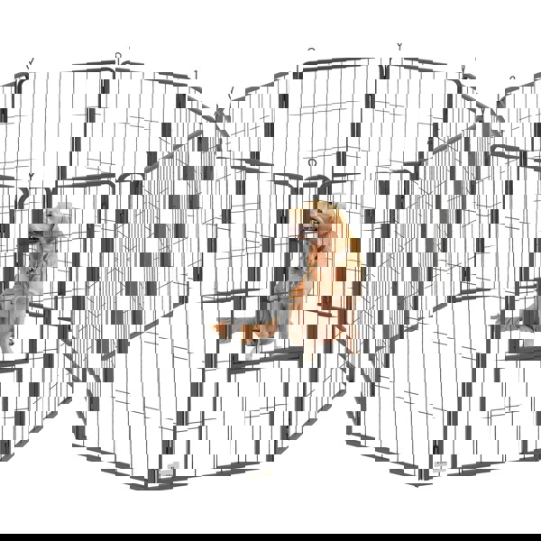 D06-251V02BK