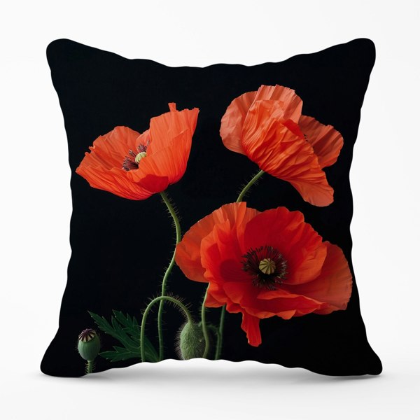 Warren Reed Poppies Cushions