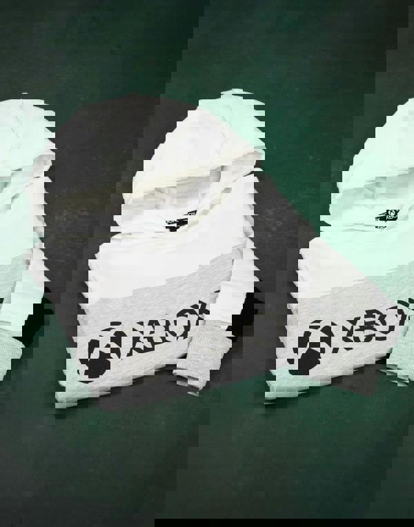 Xbox Boys Grey Logo Print - Cut & Sew Hoodie