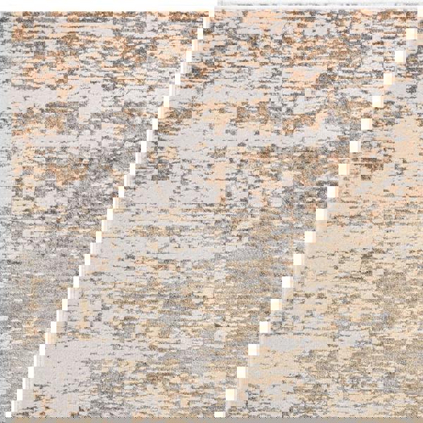 Asiatic Anders AN03 Distressed Rug