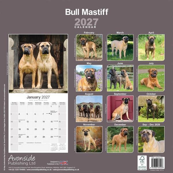Bullmastiff Calendar 2027, Wall Calendars, Month To View, Dogs, Gift