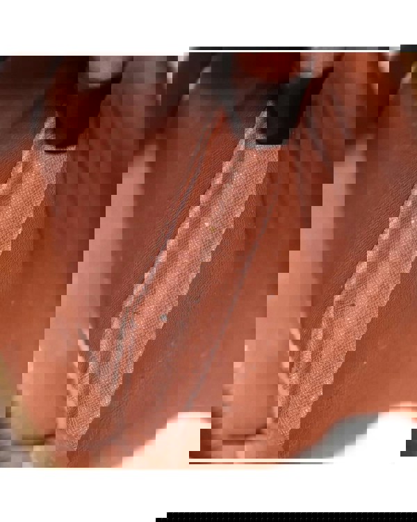 193966845.jpg