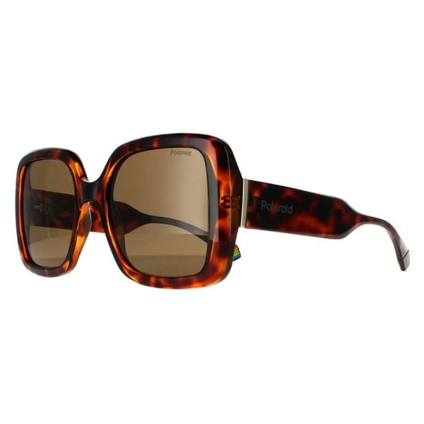 Polaroid Sunglasses PLD 6168/S 086 SP Dark Havana Bronze Polarized