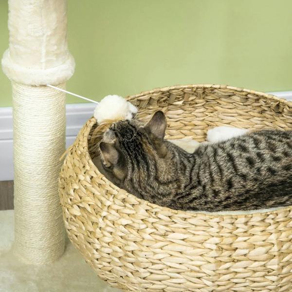 Gray tabby kitten napping in woven round bed on beige cat tree tower