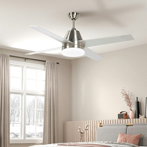 Ceiling Fan With Light