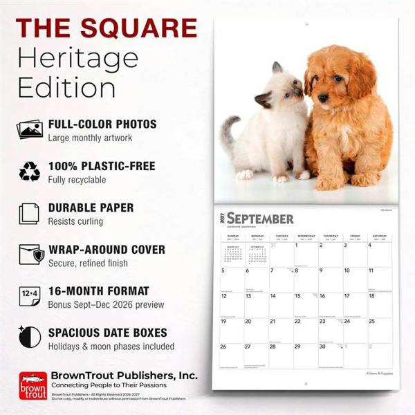 Kittens & Puppies Calendar 2027, Wall Calendars, Month To View, Cats, Gift