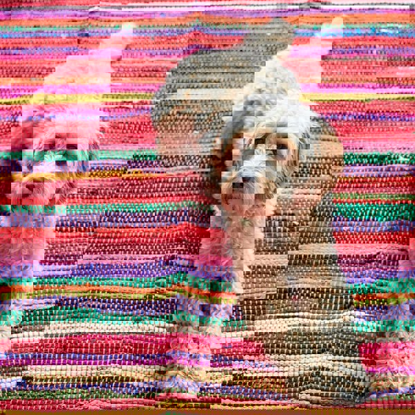 Paper High Multicoloured Recycled Rag Rug
