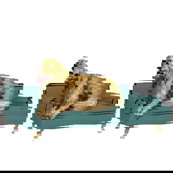 D04-256V70GN