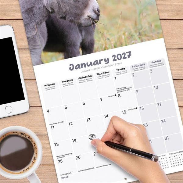 Donkeys Calendar 2027, Wall Calendars, Month To View, Animals, Gift