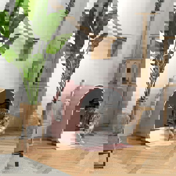 D31-050V00PK