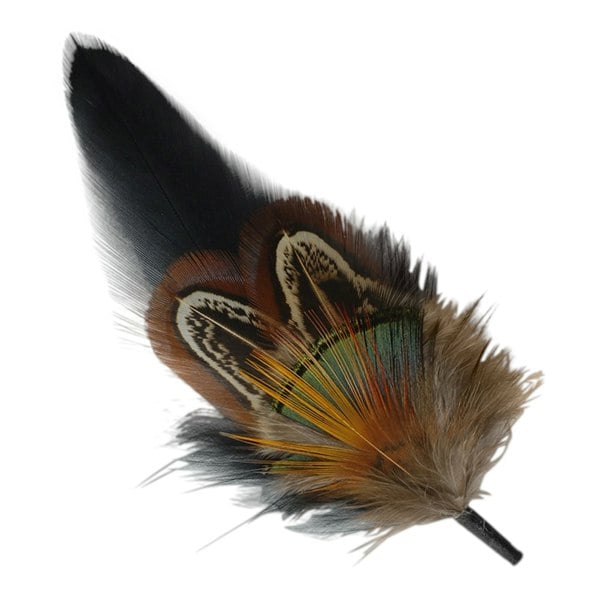 Gamble & Gunn Feather Mounts - Collection of 8 (Pack B)