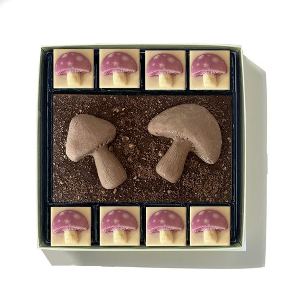 CHOC ON CHOC Chocolate Toadstools