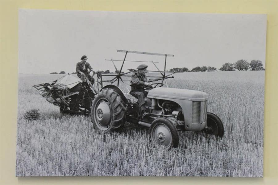 Ferguson TE20 Tractor and Binder