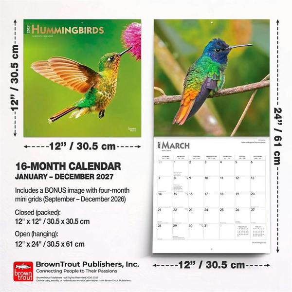 Hummingbirds Calendar 2027, Wall Calendars, Month To View, Animals, Gift