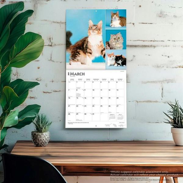Cat Lovers Calendar 2027, Wall Calendars, Month To View, Cats, Gift