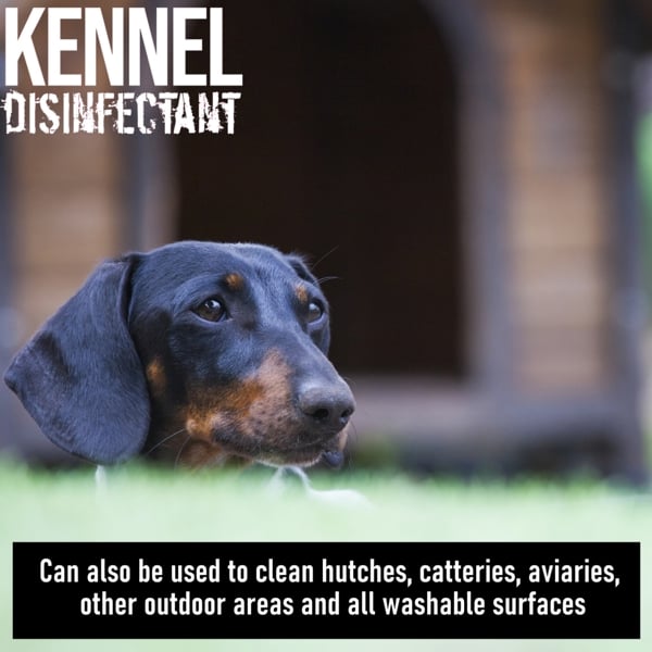 Ultima Plus XP ULTIMA-PLUS XP Kennel Kleen - Disinfectant, Cleaner, Sanitiser & Deodoriser 10L Bubblegum Scent