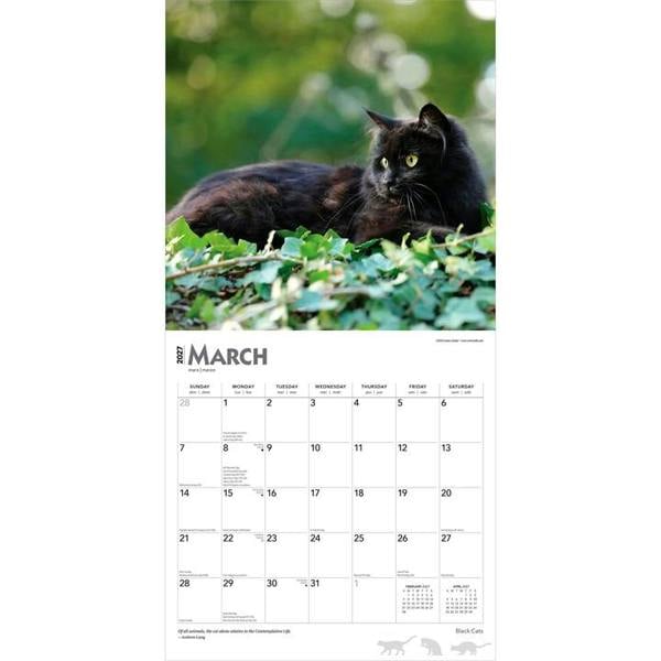 Black Cats Calendar 2027, Wall Calendars, Month To View, Cats, Gift