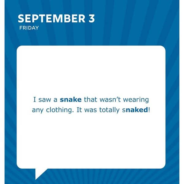 Sourcebooks Dad Jokes Desk Calendar 2027, Desk Calendars, Day To View, Humour, Gift