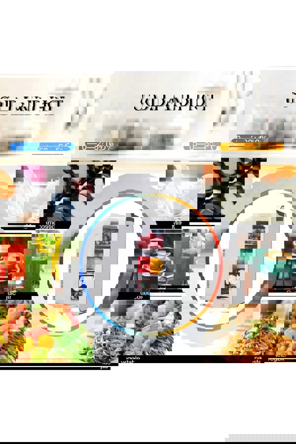 Living and Home 16L Dual-Use Mini Refrigerator with Glass Door