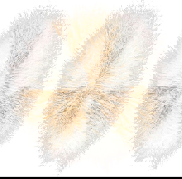  Arctic Sunrise/Ivory