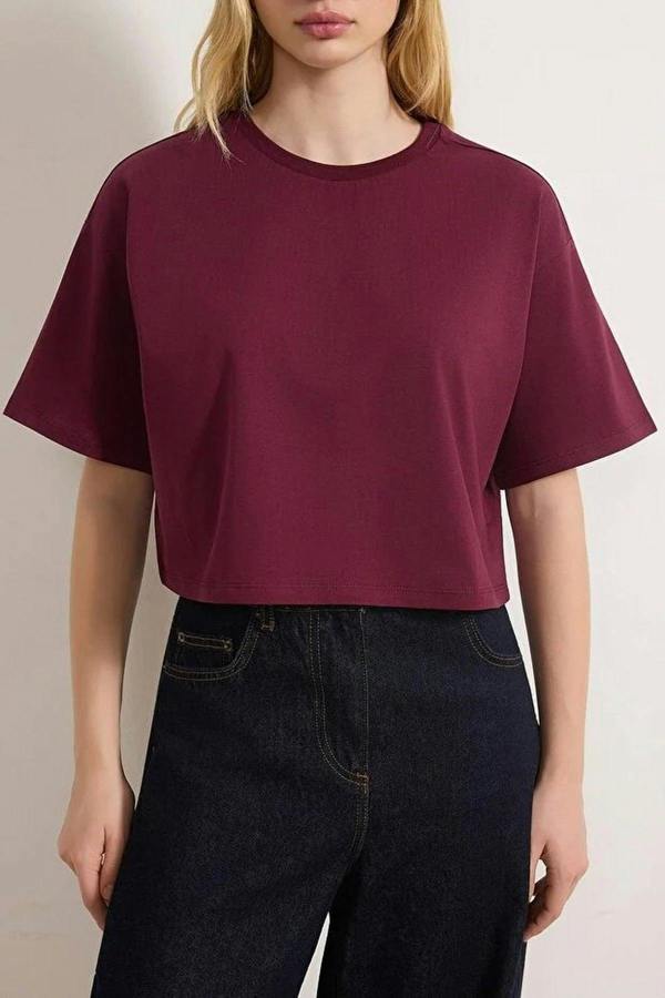 Relaxed Fit Crew Neck Crop T-Shirt
