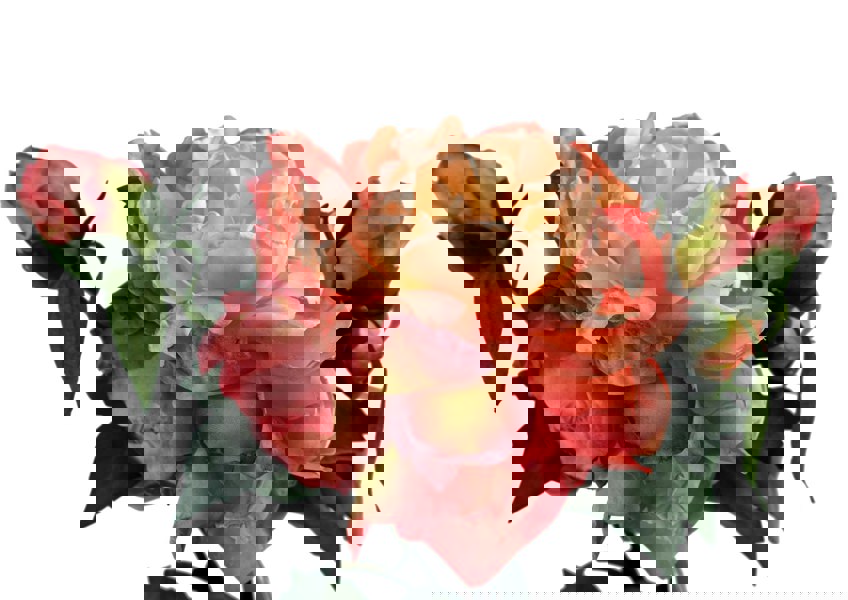 Leaf 6 x 60cm Peony Artificial Flower Pink - 6 flowers 18 buds