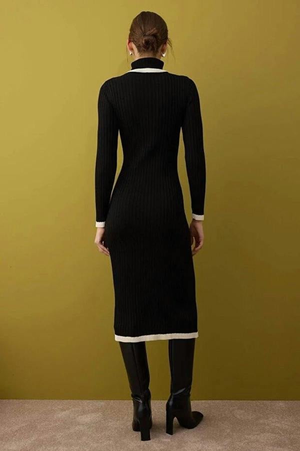 WOVCOR Color Blocked Midi Turtleneck Knit Dress