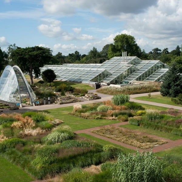 Virgin Experience Days Visit To Kew Gardens With Cream Tea For Two