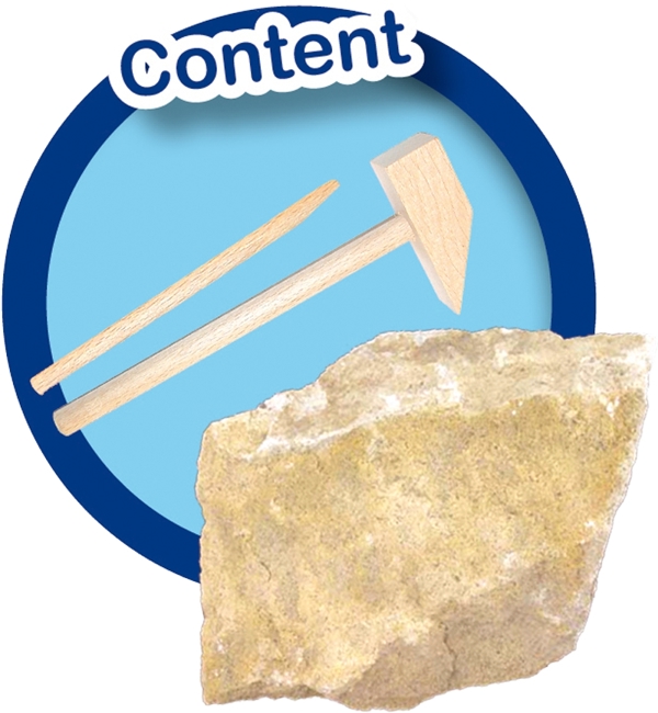 SES Creative Excavate a T-rex skeleton