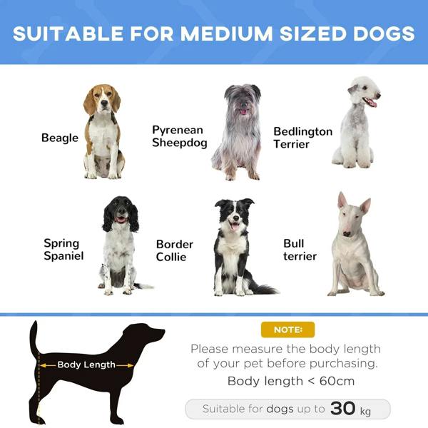 Pet bed sizing guide graphic with medium dog silhouettes