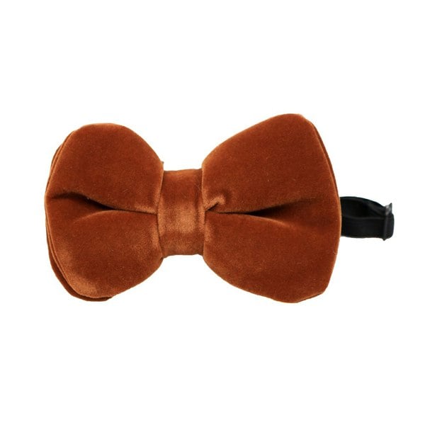 David WeJ Velvet Pretied Bow Tie - Brown