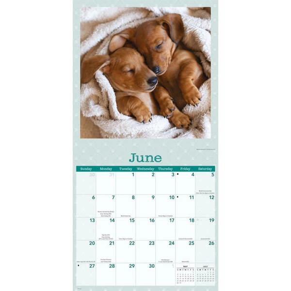 Dog Naps Calendar 2027, Wall Calendars, Month To View, Dogs, Gift