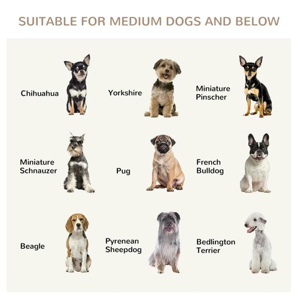Dog crate end table size guide for medium dogs and smaller