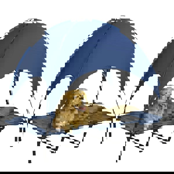 D04-060V00DB