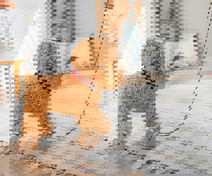 Dexter pull along dog being pulled along nursery room 