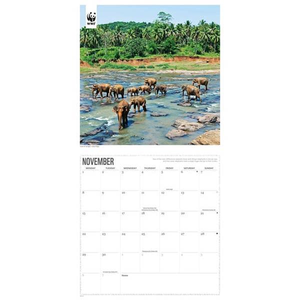 WWF, Elephants Calendar 2027, Wall Calendars, Month To View, Animals, Gift