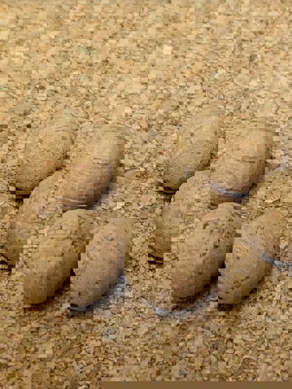 Yoga Studio Cork Unbranded Massage Balls - Ten Pack